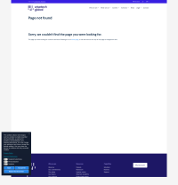 Vignette screenshot WiseTech GLOBAL